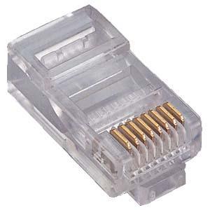 RJ45 Cat.5E Plug Solid 2Prong 6Micron 100pk