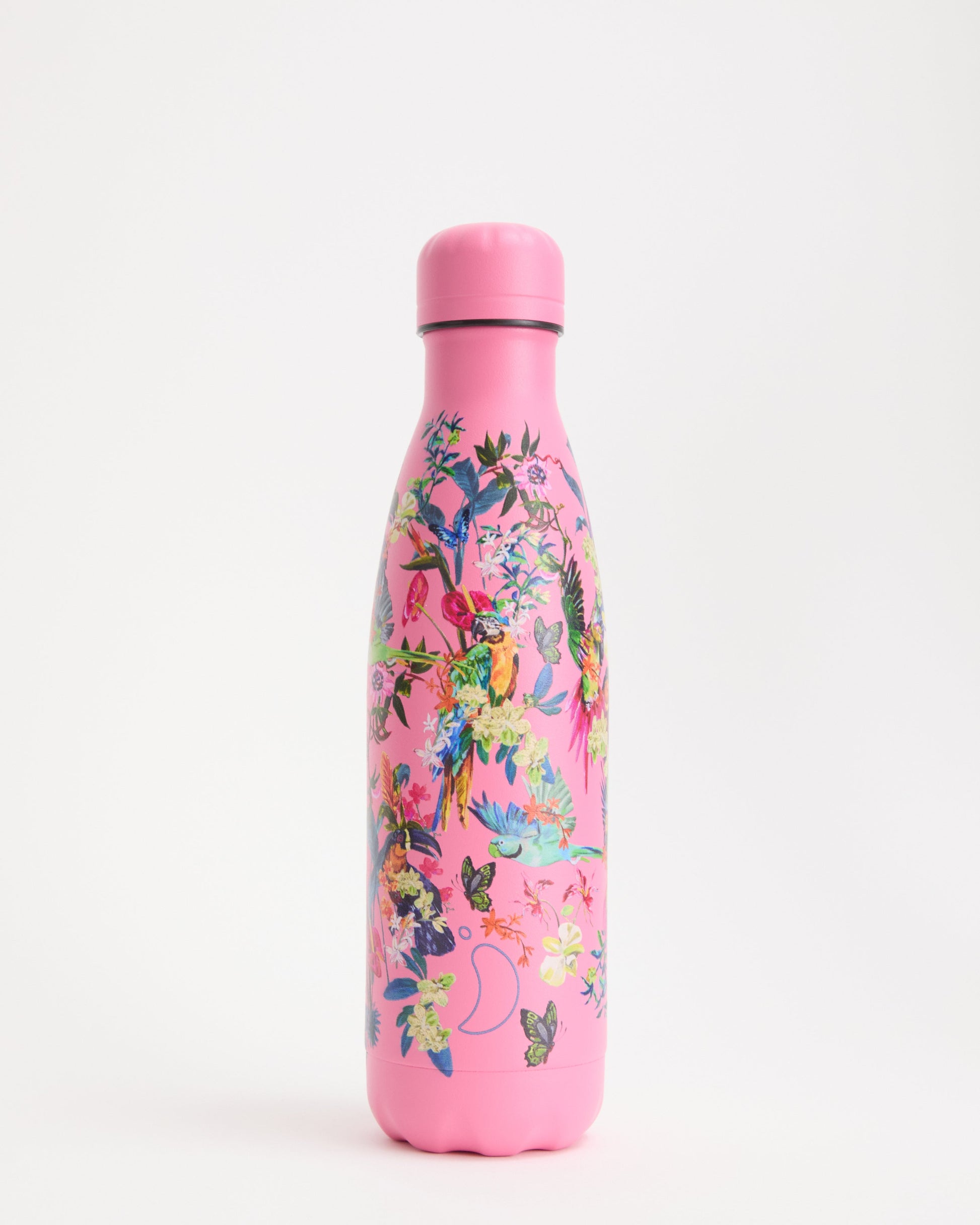 Macaw Madness Water Bottle