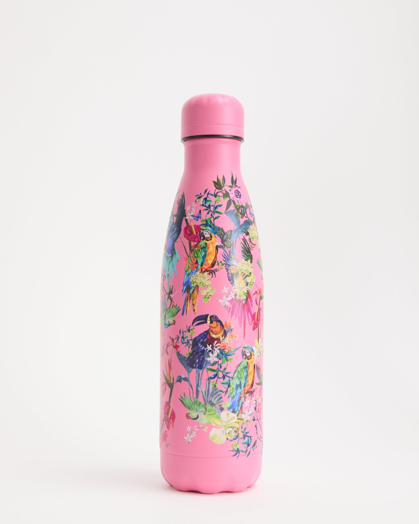 Macaw Madness Water Bottle