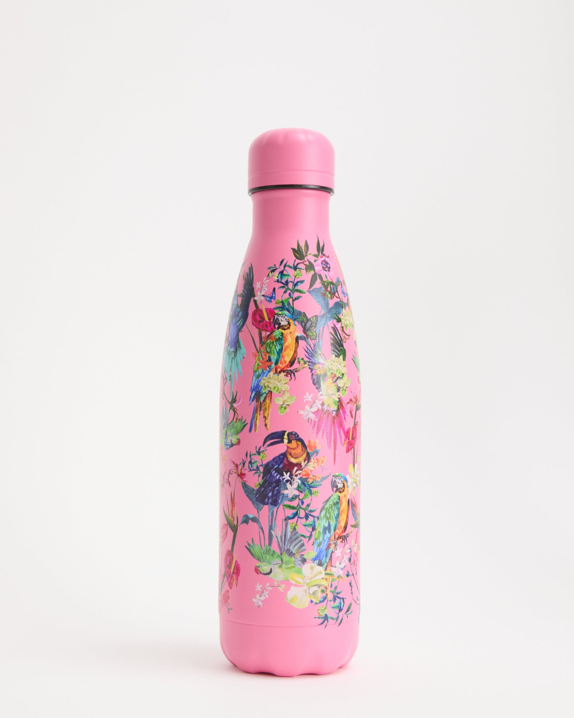 Macaw Madness Water Bottle