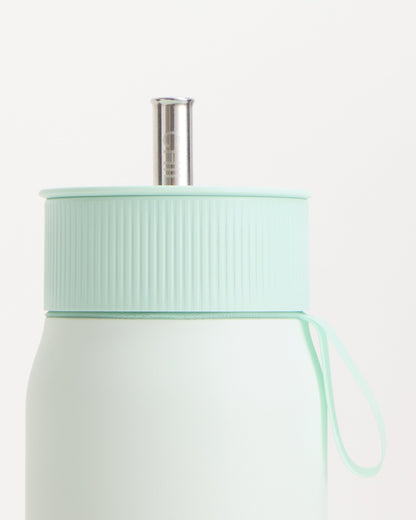 Switch Lichen Green