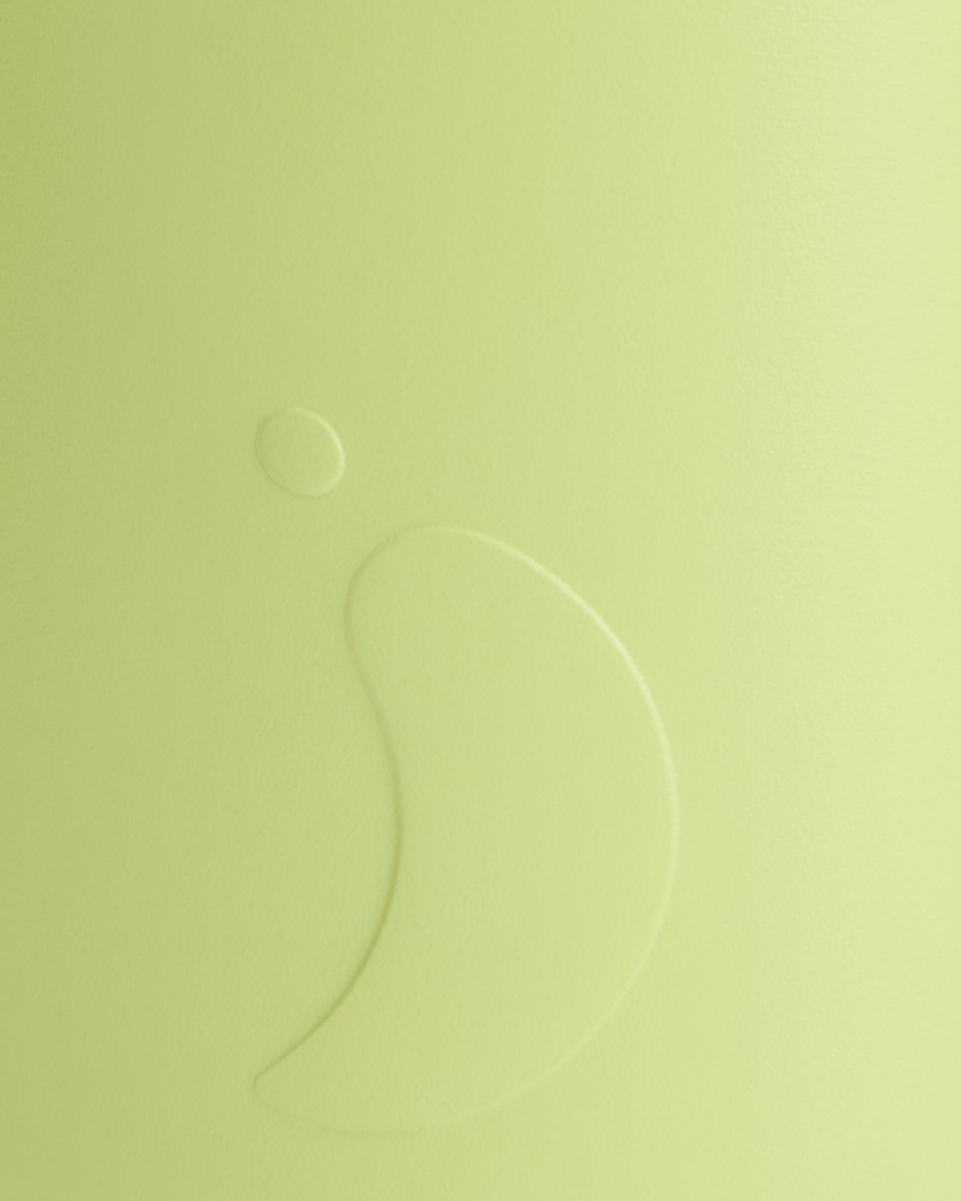 Limelite Water Bottle