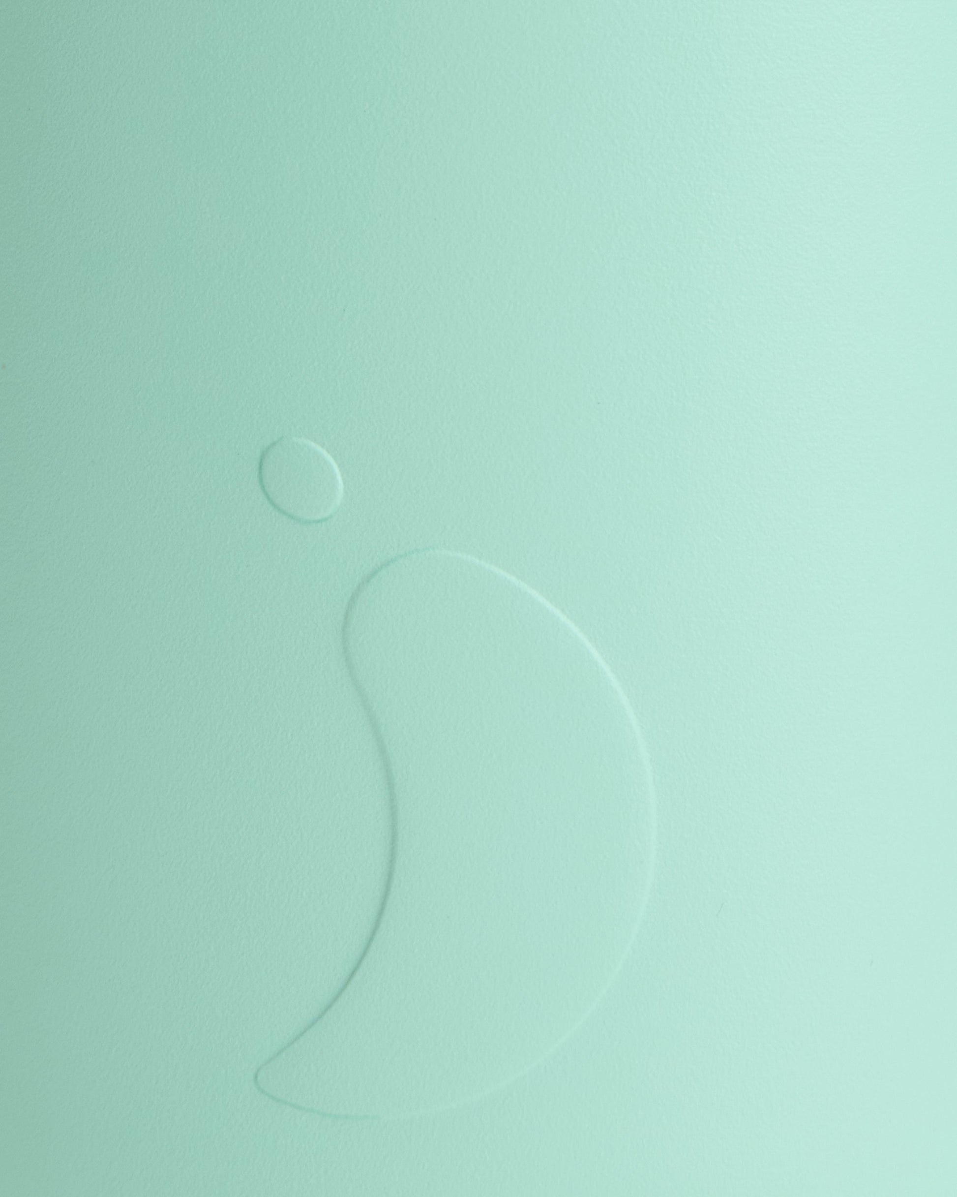 Opal Green Water Bottle